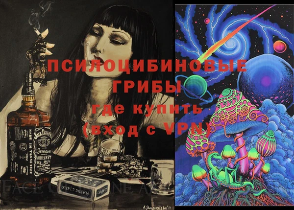 бошки Шадринск
