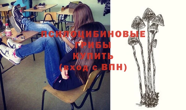 бошки Шадринск