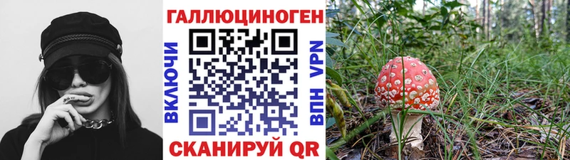 где купить   МЕГА   Галлюциногенные грибы GOLDEN TEACHER  Верхоянск 